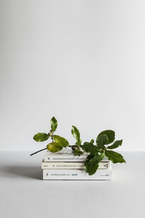 Brand campaign visuals